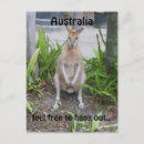 Search for aussie postcards Wallaby