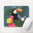 Search for toucan electronics Jungle