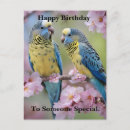 Search for yellow blossoms postcards Blue