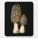 Search for edible electronics Mushroom