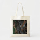 Search for koala bags Zoo
