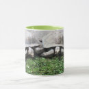Search for tortoise mugs Animals