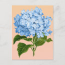 Search for blue hydrangea postcards Botanical