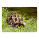Search for kids mothers day cards Wildlife