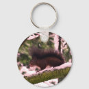 Search for squirrel photo key rings Cute
