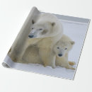 Search for alaska wrapping paper Bear