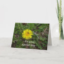 Search for bee weed Dandelion