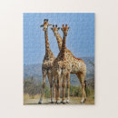Search for wildlife puzzles Africa