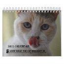 Search for rescue calendars Charity