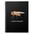 Search for lab notebooks Research