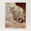 Search for leopard puzzles Photograph
