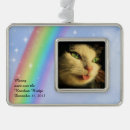 Search for pet supplies Rainbow bridge