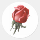 Search for bud stickers Roses