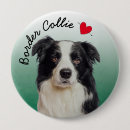 Search for border collie dog badges Dogs