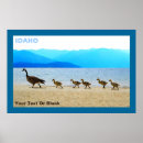 Search for canada posters Nature