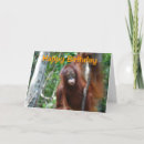 Search for orangutan birthday cards Wildlife