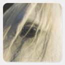 Search for horse pictures stickers Cowboy