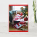 Search for maine coon christmas cards Funny