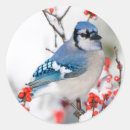 Search for marion stickers Nobody