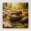 Search for ladybug puzzles Nature