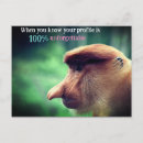 Search for funny monkey postcards Primate