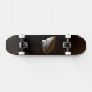 Search for laboratory skateboards Experiment