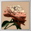 Search for ruby red posters Botanical