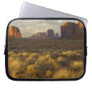 Search for cloud formations cases Landscape