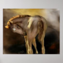 Search for dun Filly