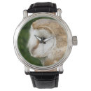 Search for barn watches Owl