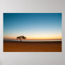 Search for lonely tree posters Sunrise