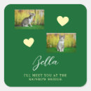 Search for the rainbow bridge stickers Pet loss