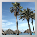 Search for beach huts posters Caribbean