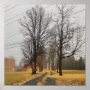 Search for autumn tree posters Nature
