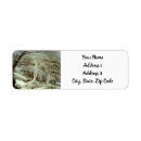 Search for winter season return address labels Seasonal