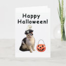 Search for pirate cats cards Kitten