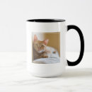 Search for kitten in a mugs Animal