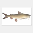 Search for saltwater fish stickers Sea