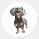 Search for sausage lover stickers Animal