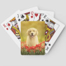 Search for golden retriever playing cards Smile