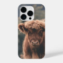Search for cow iphone cases Highland cattle