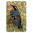 Search for lawn care magnets Nature