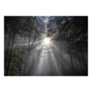 Search for sunrays posters Fog