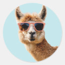 Search for llama lover stickers Animal