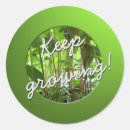 Search for organiser stickers Green
