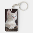 Search for white kitty key rings Cats