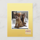 Search for carols postcards I can has cheezburger