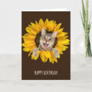 Search for cat and sunflowers cards Tabby