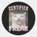 Search for cat meme stickers Vote blue
