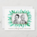 Search for pine needles christmas cards Foliage